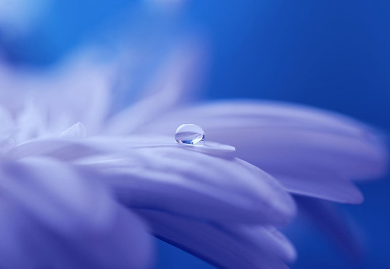 Whimsical Touches