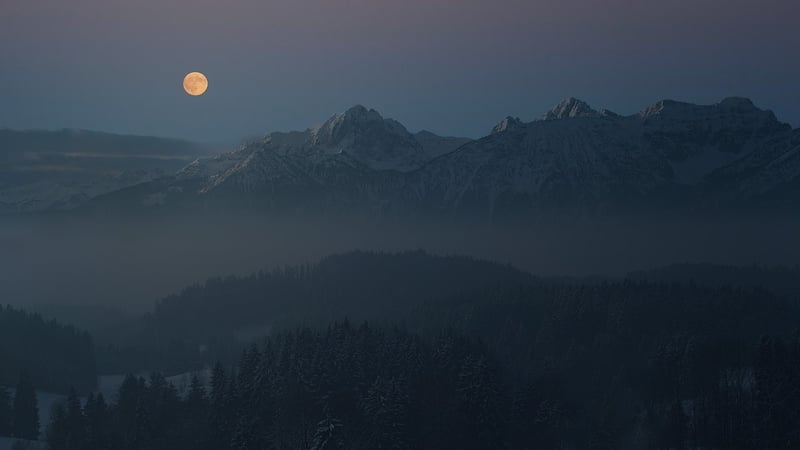 Moonlit Garden